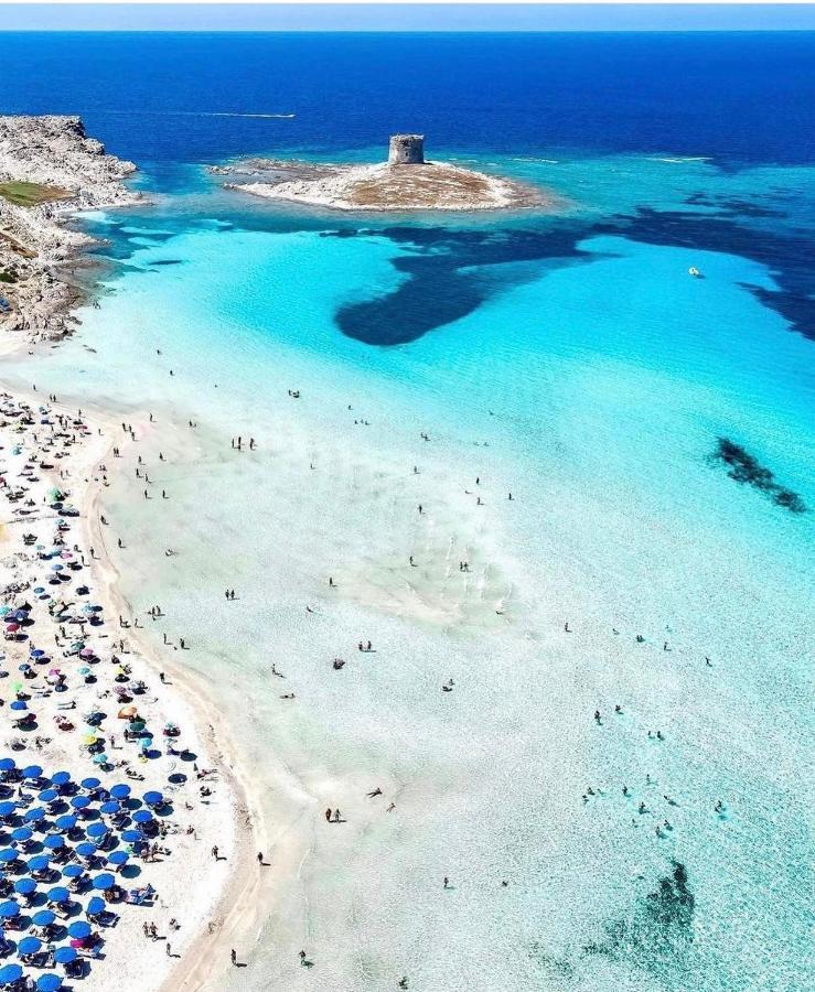 La Dolce Vita , Fronte Mare Castelsardo Ngoại thất bức ảnh