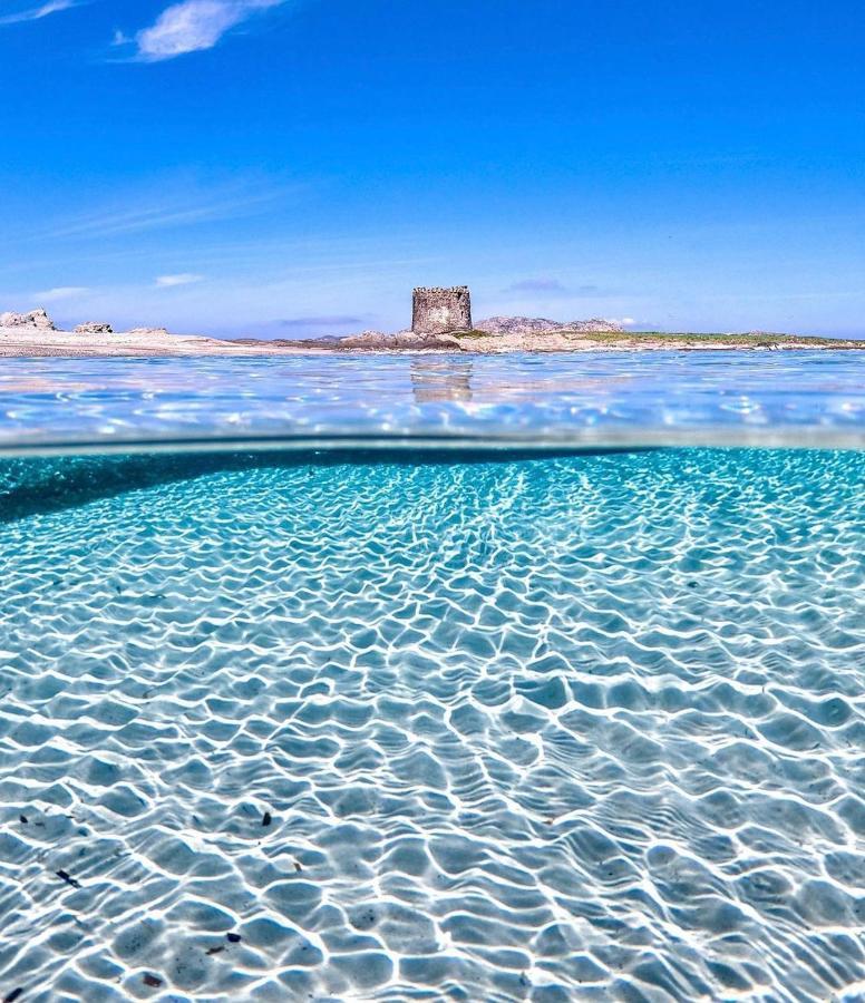 La Dolce Vita , Fronte Mare Castelsardo Ngoại thất bức ảnh